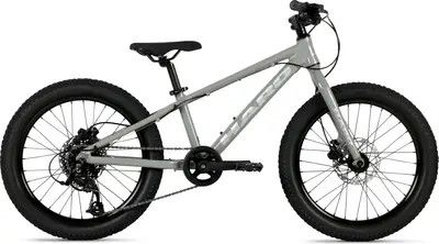 Haro Flightline 20 Plus disk