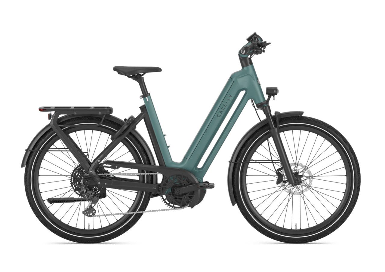 Gazelle Eclipse T11+ Low 50cm Thyme Green