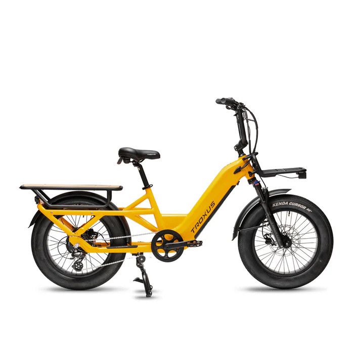 Troxus Lynx Cargo E-bike Mango
