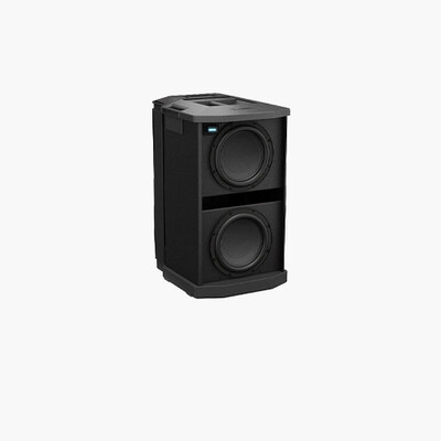 Pro Subwoofers
