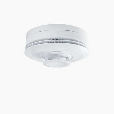 Smoke & CO Detectors