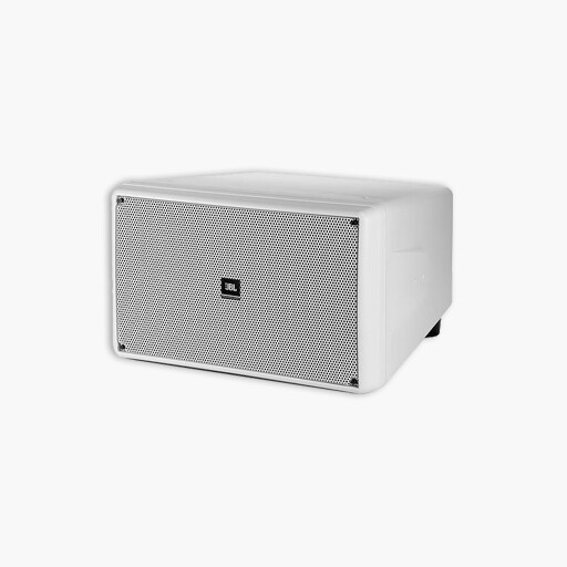 JBL Professional Control SB2210 10 inch Dual Compact Subwoofer White