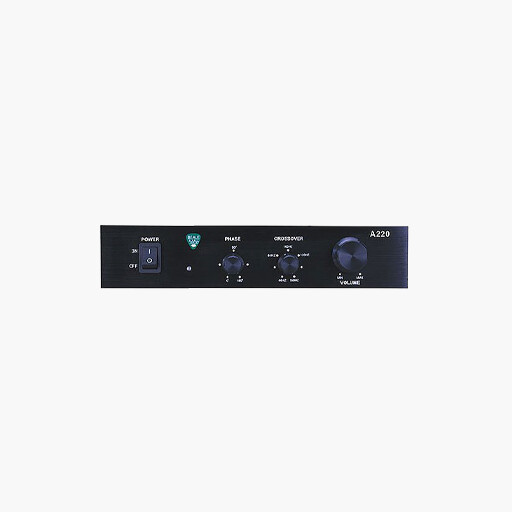 Beale Street A220 Class D 220W Sub Amplifier