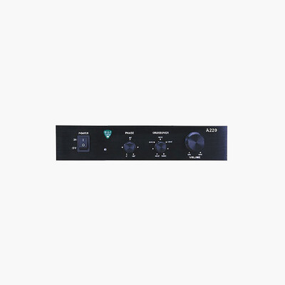 Beale Street A220 Class D 220W Sub Amplifier