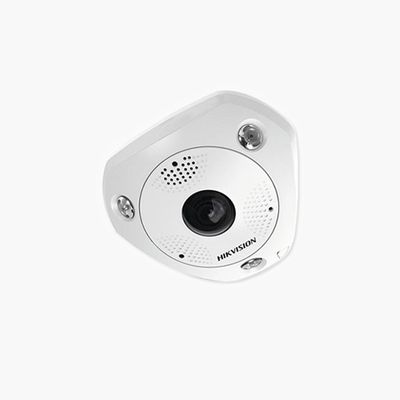 Hik Fisheye