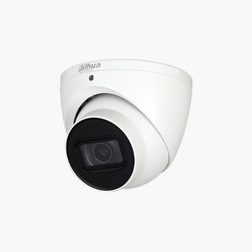 Dahua N43CJ6Z 4MP 1/3" Enhanced Starlight Network Eyeball