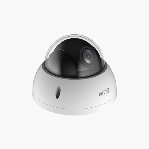 Dahua MP Enhanced Starlight Network PTZ Camera