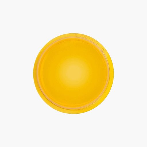 System Sensor LENS-A3 L-Series Indoor WallCeiling Mount Strobe