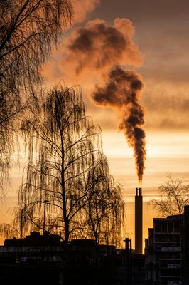 By Industry