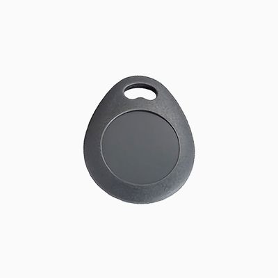 GeoVision GV-AS ID KEY FOB 125 kHz