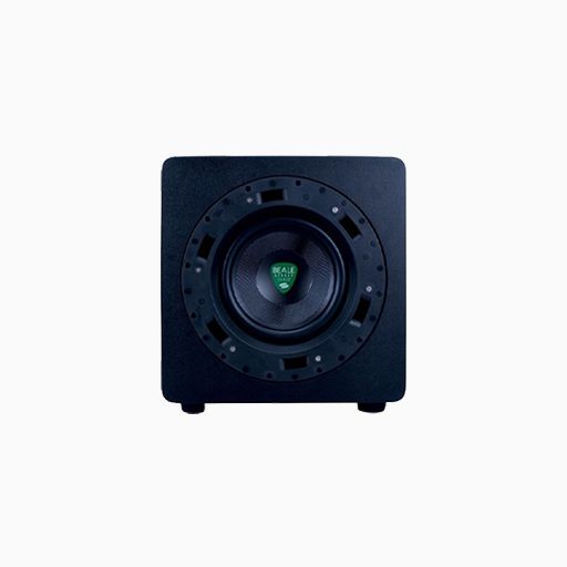Beale Street BPS-80 8" Sub-Woofer ICS8-MB