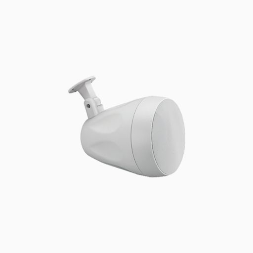Beale Street WP4VW-BSC 4" Indoor Outdoor On-Wall Pendant