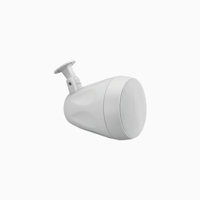 Beale Street WP4VW-BSC 4" Indoor Outdoor On-Wall Pendant