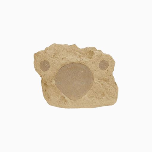 Proficient Audio RS8Si Proficient Protege 8" DVC-SST, Sandstone