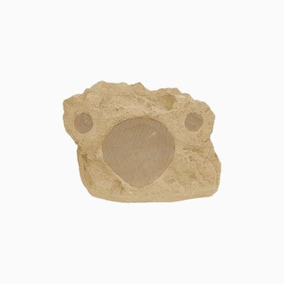 Proficient Audio RS8Si Proficient Protege 8" DVC-SST, Sandstone