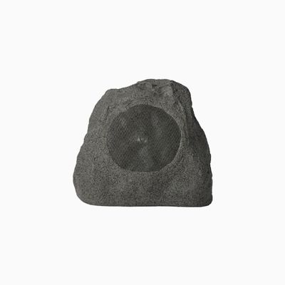 Russound 5R82MK2 8" 2-Way OutBack Rock Speaker