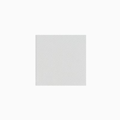 Proficient SRG-C6-SG Thin-Bezel 6.5" Ceiling for 6.5" Ceiling