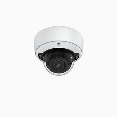 Pelco Dome