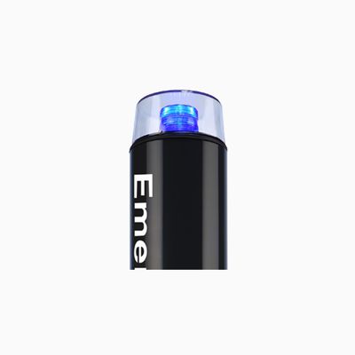 Code Blue CB1E00435 Elite Pedestal Help Point, LED Beacon/Strobe