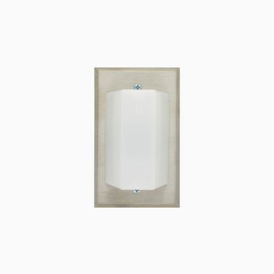 Cornell L-101A Corridor Light, 1-Lamp on Single Gang Plate