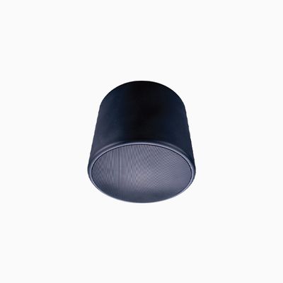 Beale Street PESV-6B 6 Beale Street PESV-6B 6" Pendant Speaker Enclosure, Black