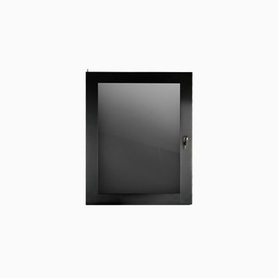 Strong SR-WM-DOOR-10U-PLEXI Wall Mount Rack Door, 10U