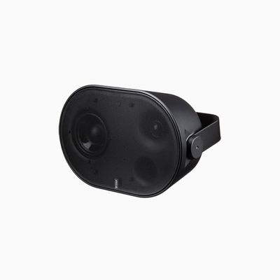 AXIS C1110-E 2-Way Network Cabinet Large Speaker, Black