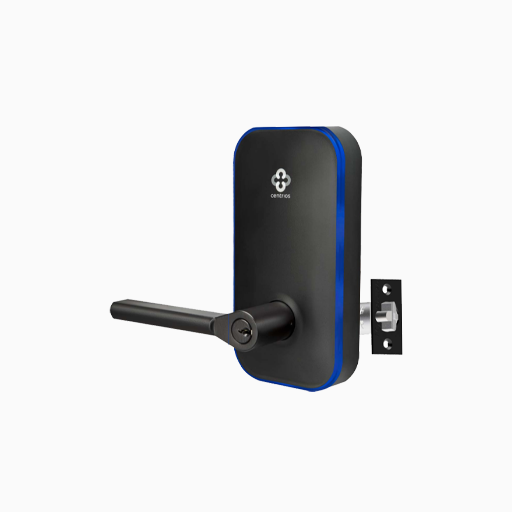 Centrios CEB102-AU-BSP-CE234S-497 Cylindrical Lock Black Suede