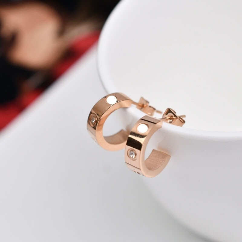 E3819   Stainless Steel Hoop Earrings   Rose Gold