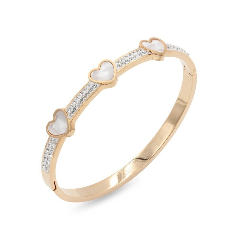 BS4211 Stainless Steel Bangle Bracelets