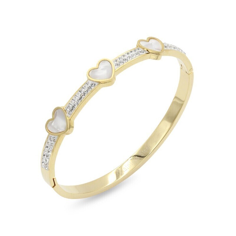 BS4211 Stainless Steel Bangle Bracelets