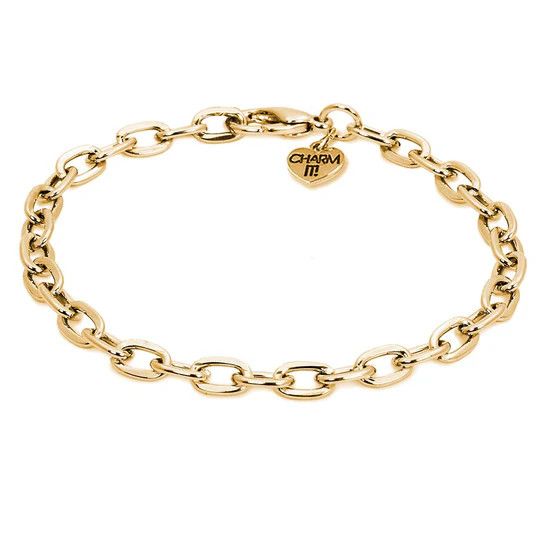 Charm It! Gold or Silver Chain Bracelet and Six Charms Bundle
