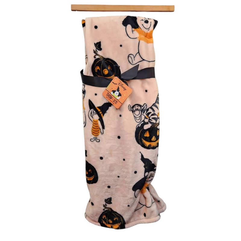 Disney Winnie The Pooh Plush Throw 60x70 Pooh Witch Halloween