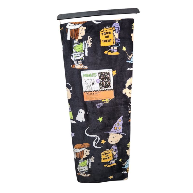Peanuts Soft Plush Throw 50x70 in AT854P