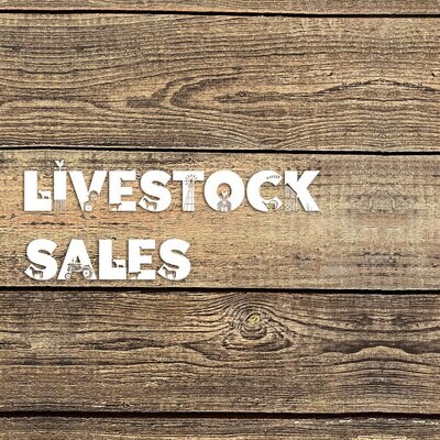 Livestock Sales