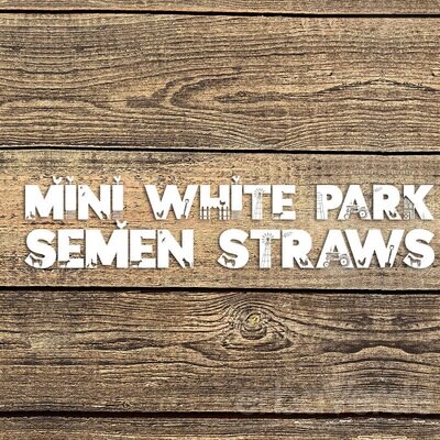 Mini British White Semen Straws