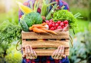 Freeze Dried Vegetables