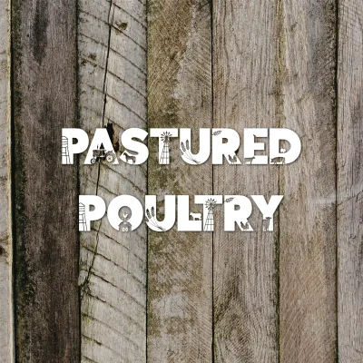 Pastured Poultry
