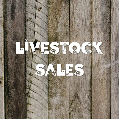 Livestock Sales