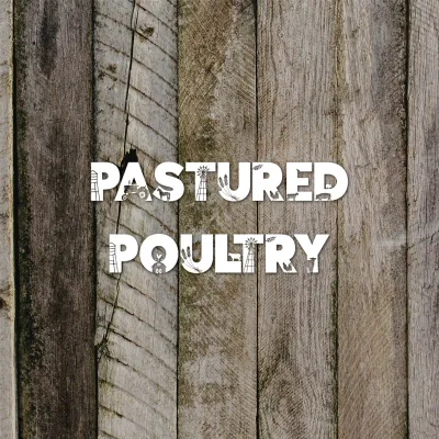 Pastured Poultry