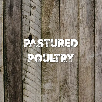 Pastured Poultry