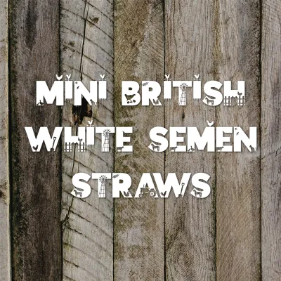 Mini British White Semen Straws