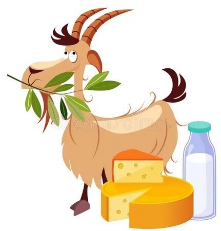 Raw Goats Milk Share