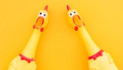 Ugly Chicken (Deposit)