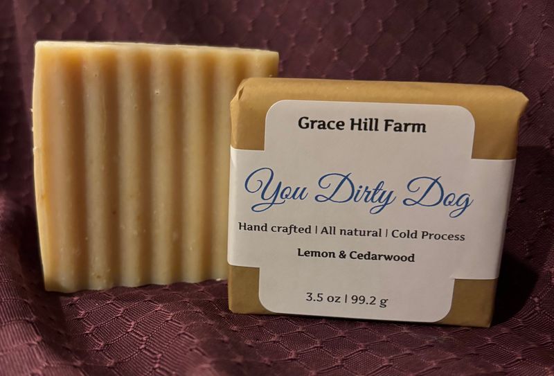 You Dirty Dog Pet Shampoo