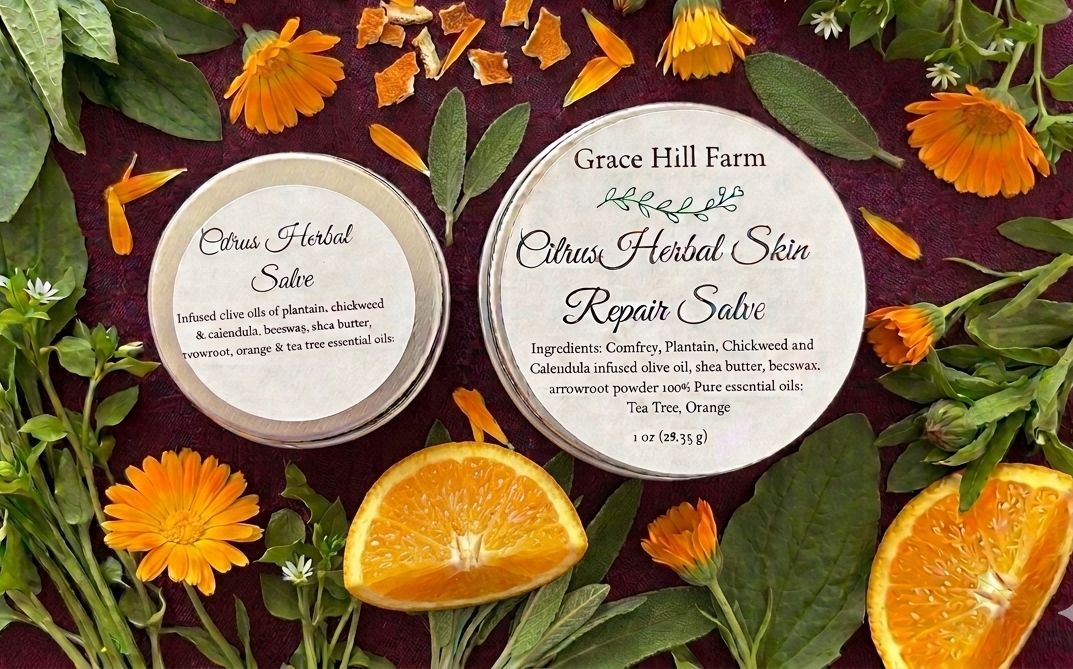 Herbal Remedy Skin Repair Salve