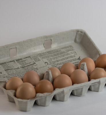 Non GMO Farm Fresh Eggs