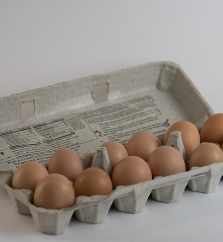 Non GMO Farm Fresh Eggs