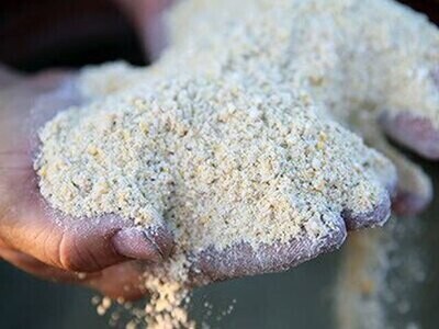 Non-GMO & Organic Feed