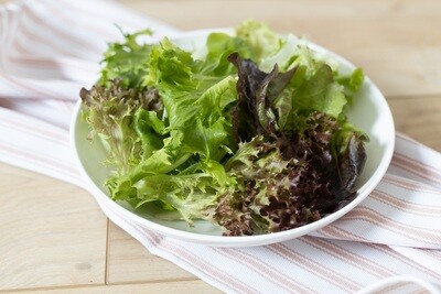 Salanova Mix Lettuce